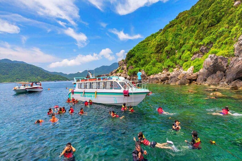 Kinh nghiệm du lịch Cù Lao Chàm Lặn ngắm san hô Cù Lao Chàm

