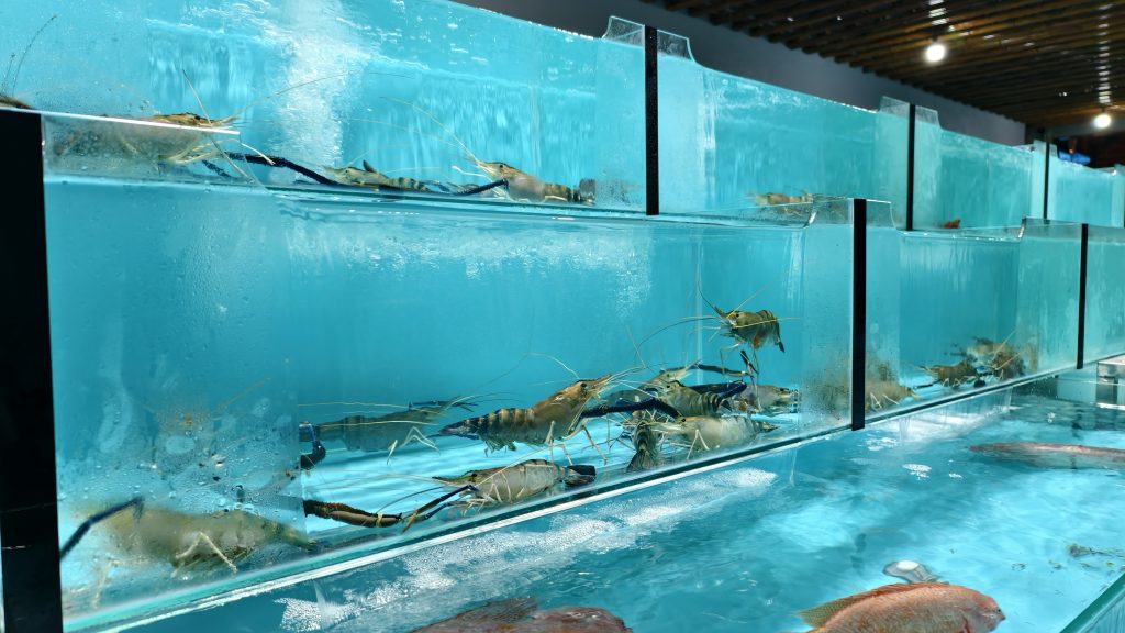 Hải sản tươi sống tại Đại An Seafood, một trong những nhà hàng hội an có quy trình chế biến khép kín, đảm bảo chất lượng.
